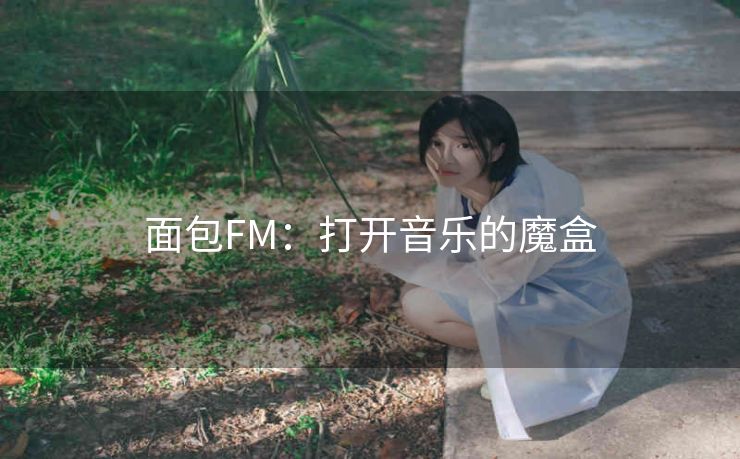面包FM:打开音乐的魔盒 面包FM:打开音乐的魔盒