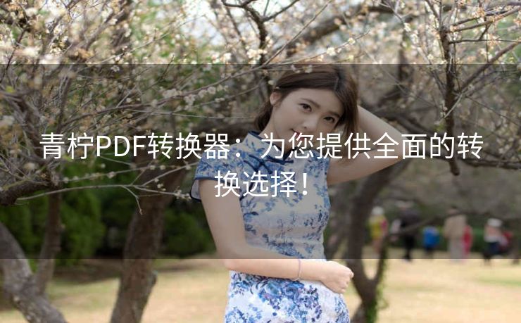 青柠PDF转换器:为您提供全面的转换选择! 青柠PDF转换器:为您提供全面的转换选择!