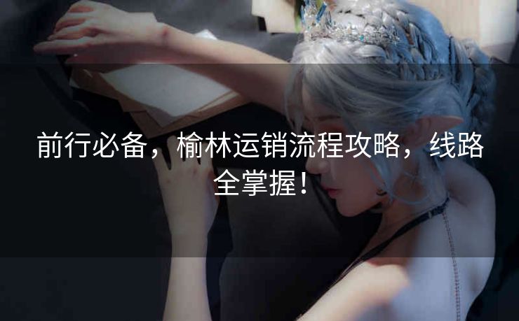 前行必备,榆林运销流程攻略,线路全掌握! 前行必备,榆林运销流程攻略,线路全掌握!
