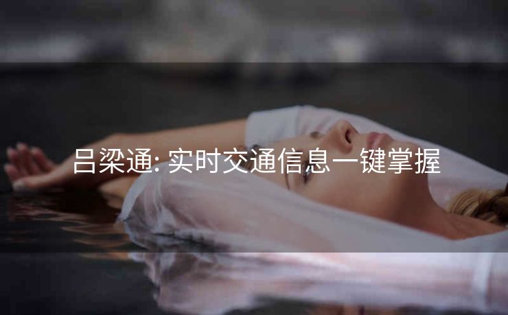 吕梁通: 实时交通信息一键掌握 吕梁通: 实时交通信息一键掌握