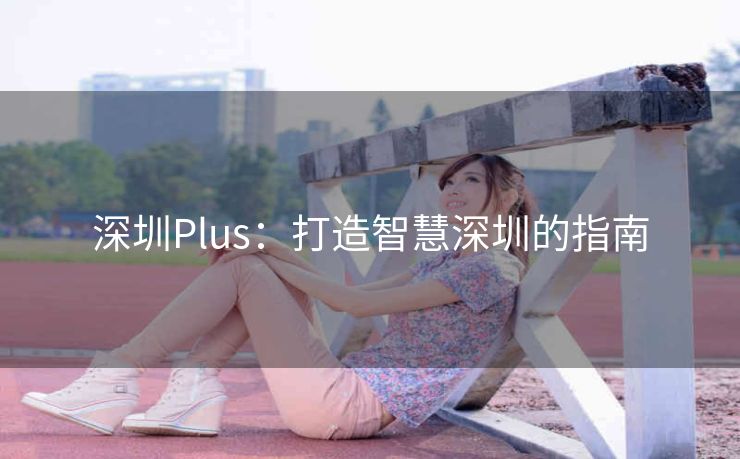 深圳Plus:打造智慧深圳的指南 深圳Plus:打造智慧深圳的指南