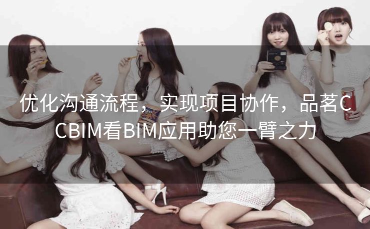 优化沟通流程，实现项目协作，品茗CCBIM看BIM应用助您一臂之力
