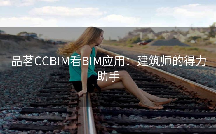 品茗CCBIM看BIM应用:建筑师的得力助手 品茗CCBIM看BIM应用:建筑师的得力助手
