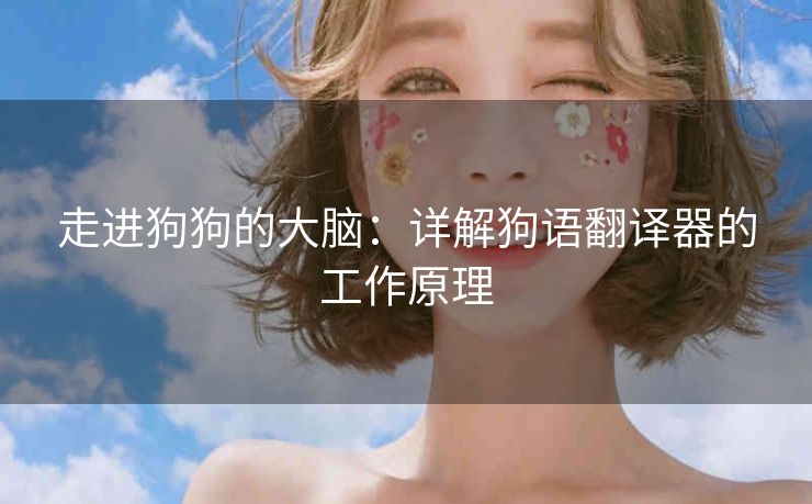 走进狗狗的大脑:详解狗语翻译器的工作原理 走进狗狗的大脑:详解狗语翻译器的工作原理