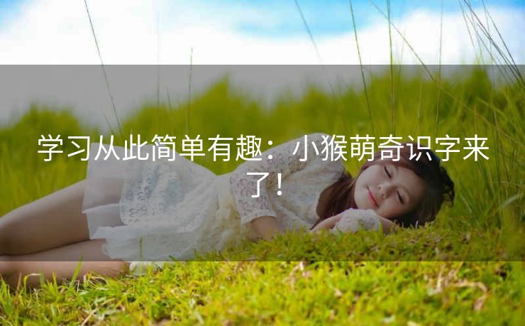 学习从此简单有趣:小猴萌奇识字来了! 学习从此简单有趣:小猴萌奇识字来了!