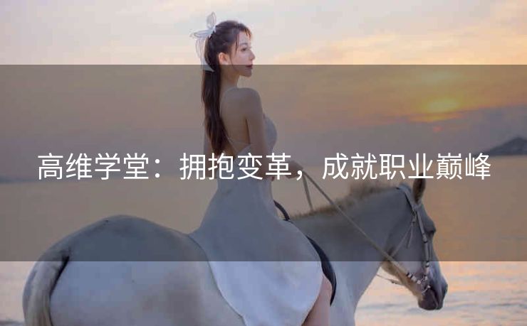 高维学堂:拥抱变革,成就职业巅峰 高维学堂:拥抱变革,成就职业巅峰