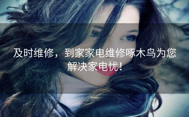 及时维修,到家家电维修啄木鸟为您解决家电忧! 及时维修,到家家电维修啄木鸟为您解决家电忧!