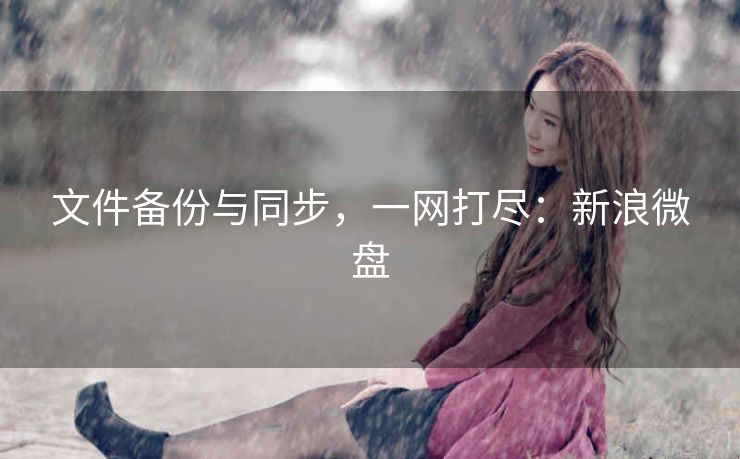 文件备份与同步,一网打尽:新浪微盘 文件备份与同步,一网打尽:新浪微盘