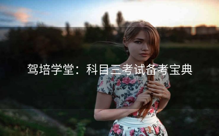 驾培学堂:科目三考试备考宝典 驾培学堂:科目三考试备考宝典