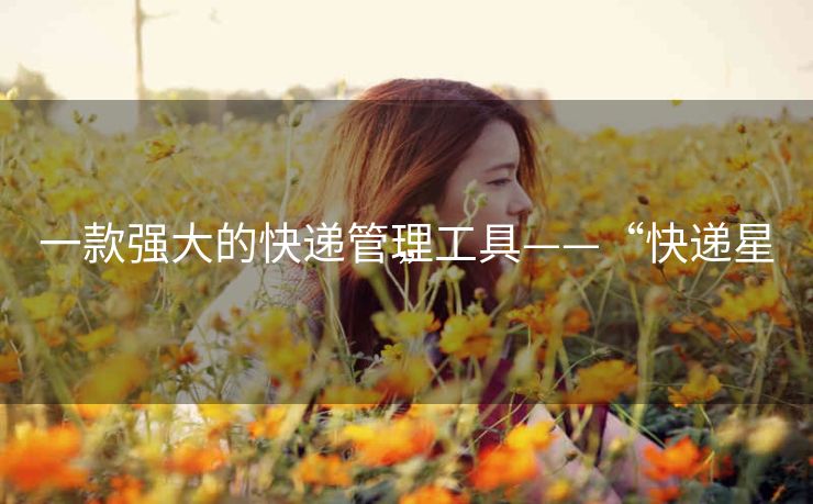 一款强大的快递管理工具——“快递星” 一款强大的快递管理工具——“快递星”
