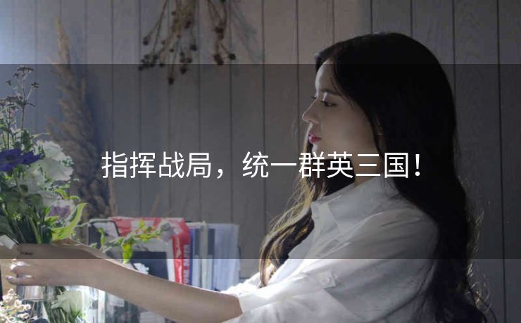 指挥战局,统一群英三国! 指挥战局,统一群英三国!