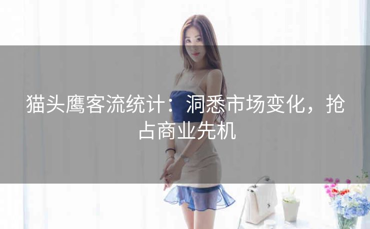 猫头鹰客流统计:洞悉市场变化,抢占商业先机 猫头鹰客流统计:洞悉市场变化,抢占商业先机