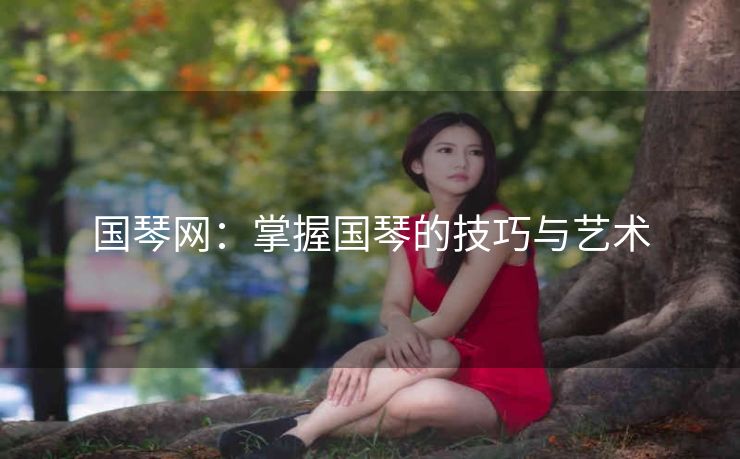 国琴网:掌握国琴的技巧与艺术 国琴网:掌握国琴的技巧与艺术