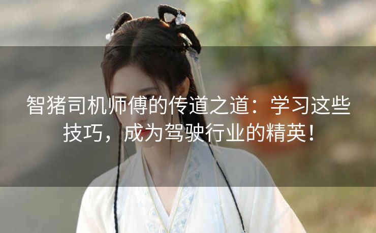 智猪司机师傅的传道之道：学习这些技巧，成为驾驶行业的精英！