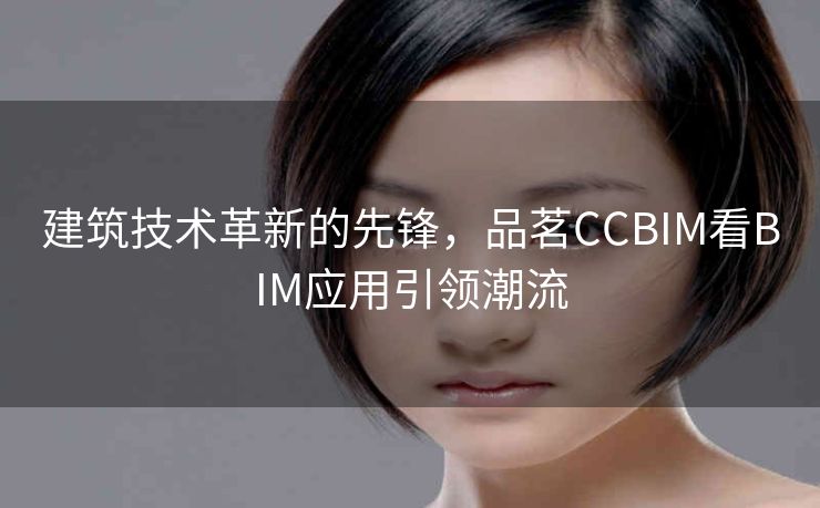 建筑技术革新的先锋,品茗CCBIM看BIM应用引领潮流 建筑技术革新的先锋,品茗CCBIM看BIM应用引领潮流