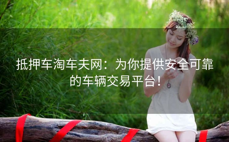 抵押车淘车夫网:为你提供安全可靠的车辆交易平台! 抵押车淘车夫网:为你提供安全可靠的车辆交易平台!